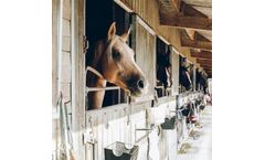 Trailers for stable & livery yards