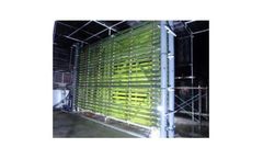 Varicon Phyco-Flow - High Density Monocultures of Marine and Freshwater Algae