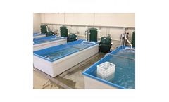 Live Holding Systems