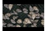 Zapco Aquaculture Tumbler Video