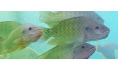 Recirculating Aquaculture Systems for Aquaculture