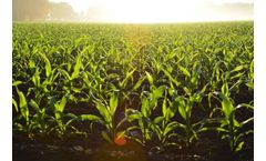 EasyFarm - Version Pro Crops - Crops Accounting and Management Software