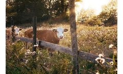 EasyFarm - Version Pro - Livestock Software