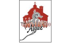 Instant Algae - Monoculture Marine Microalgae