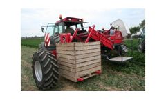 Vanhoucke - Turnip Celery Treatment