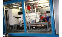CHP - Container Plants