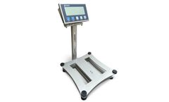 MWS - Model Salus 6000 - Bench Platform Scale