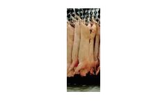 Pig Slaughter Lines