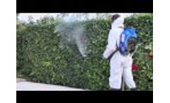Twister -- Video
