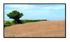 Laboratory Testing for Environmental Sample Analyses