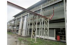 Palm Fruit Oil Pressing Machine