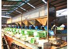Palm Kernel Oil Pressing Machine