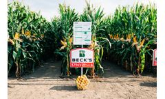 Practical Farm Research (PFR)