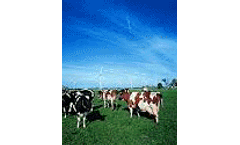 Industrial Sources Influence Air Concentrations of Hydrogen Sulfide and Sulfur Dioxide in Rural Areas of Western Canada