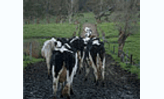 Air emissions of ammonia and methane from livestock operations: Valuation and policy options