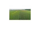 Agricultural Solutions