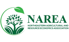 Career Advancement and Mentorship Program