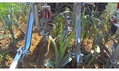 ROTOVERT OLIVER Rotosark Bineuse Weeding Machine hackmaschine Sarcleuse Weed Control ORGANIC BIO - Video