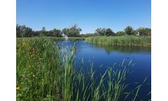 Environmental - Wetland Assessment