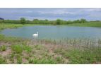 Environmental - Large Dugout Pond Remediation