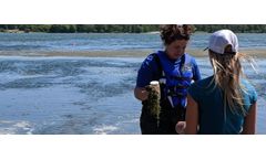 Environmental - Invasive Species