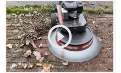 Moss Brush - Video