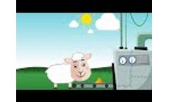 Little and Often - Crucial for Productivity Video