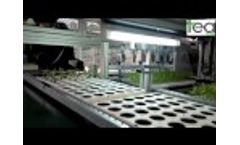TEA CUBE600N Transplanter - Video