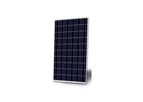 Ecsolar - Polycrystalline PV Module