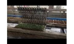 RW32 Transplanter Video