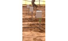 CrystalVision - Roots Analysis Services