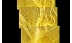 CrystalVision - Roots Scanning Camera and GFP Camera