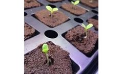 Agritom - Vertical Farming Systems