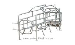 Model Type 6 - Farrow Machine