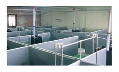 Machines for Group Sows Management