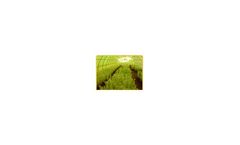 Agro Vision - Mist Chamber for Greenhouses