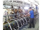 OpiFlow - Sheep and Goat Herd Management System