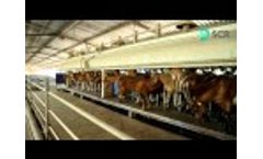 Allflex Sheep and Goats Technology Video