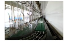 Chicken Slaughtering Equipment