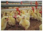 Automatic Poultry Nipple Drinker