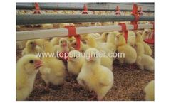 Automatic Poultry Nipple Drinker