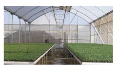 Azrom Coral Diamond - Greenhouses