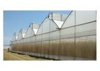 Azrom Coral Amber - Greenhouses