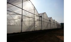 Azrom Coral Sapphire - Greenhouses