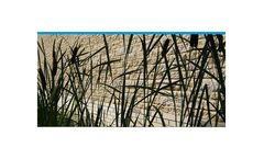 Delivering SuDS: Securing SuDS through planning Training Courses