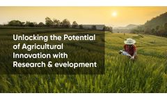 Research & Development Services