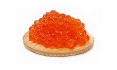 AquaSearch - Model ROE - Large Rainbow Trout Eggs