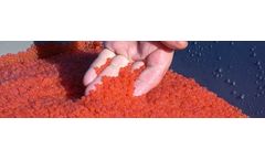Efficient Breeding Programmes Services