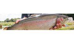 AquaSearch - Freshwater Fish