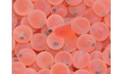 AquaSearch - Model FRESH Unique - Full Scale Family Fish Breeding
